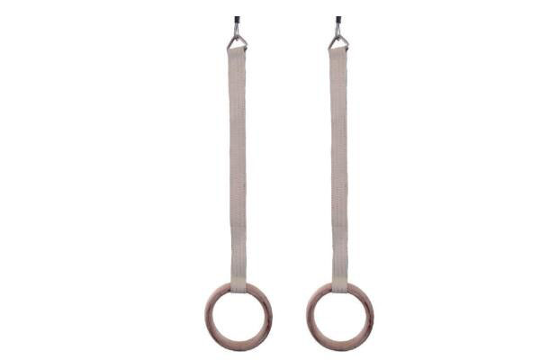 吊环吊索及环(图1)