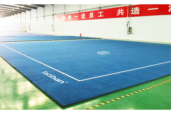 青少年武术场地(图1)