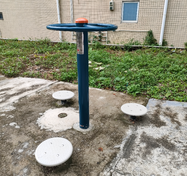 桂南村社贝(图1) 桂南村社贝(图1)