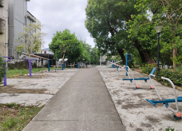 桂南村社贝(图2) 桂南村社贝(图2)