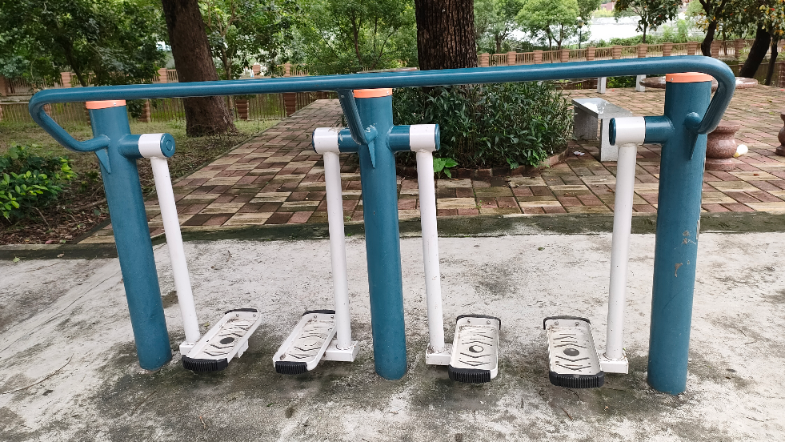 桂南村社贝(图6) 桂南村社贝(图6)