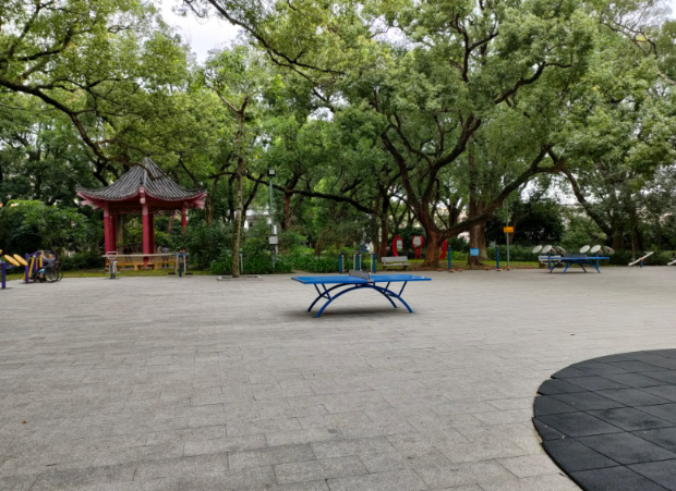 桂南村马溪香樟公园(图2) 桂南村马溪香樟公园(图2)